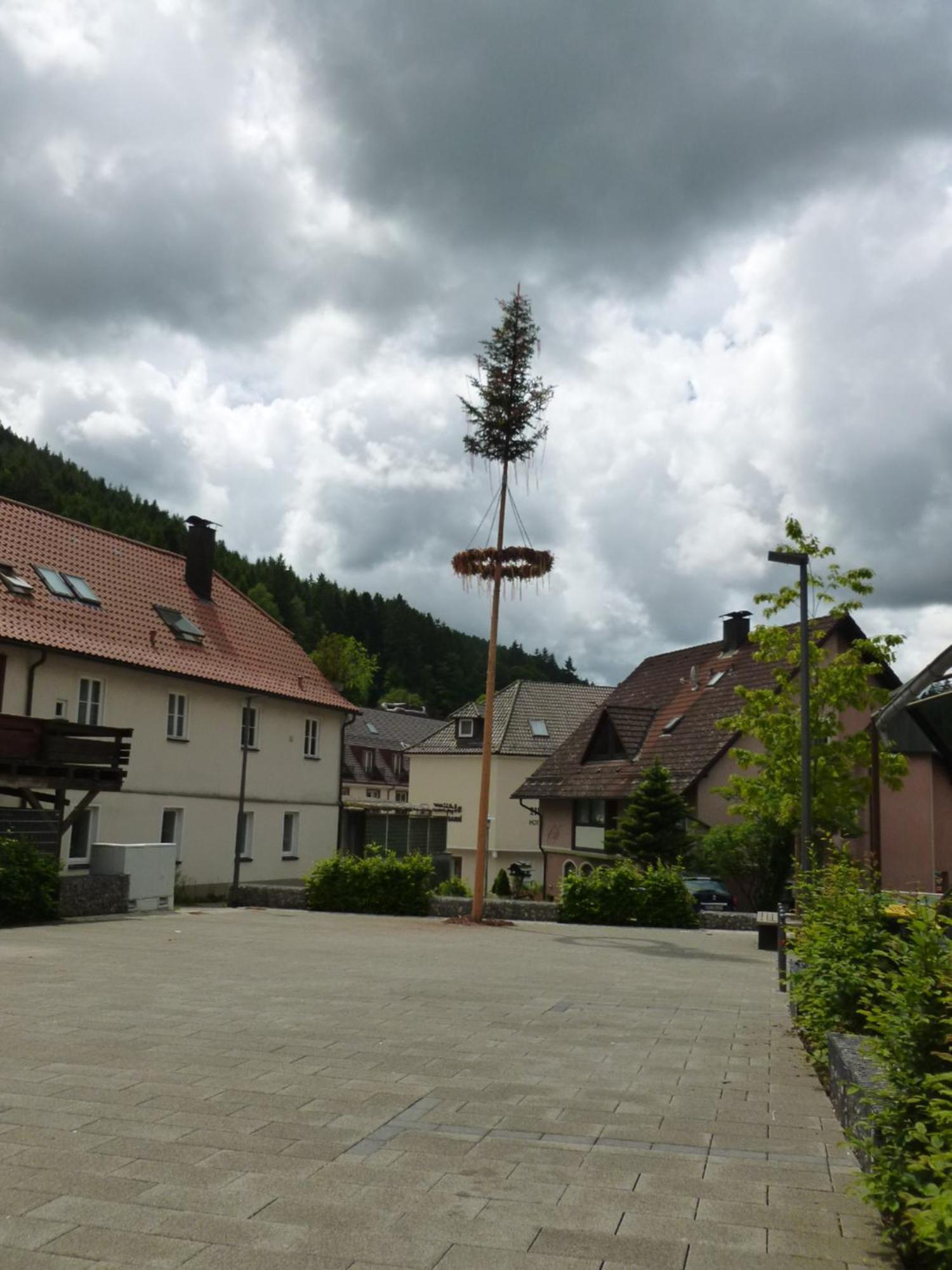 Gasthaus Waldhorn Bad Teinach-Zavelstein Eksteriør bilde